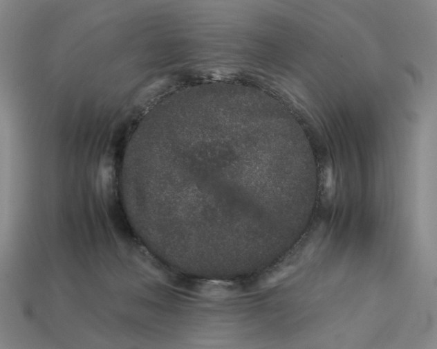 X0000113240222200910011332