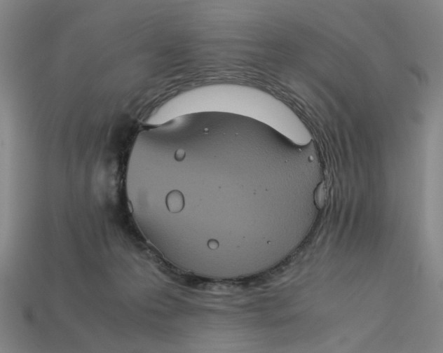 X0000113240223200910011332