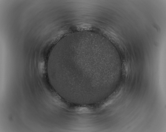 X0000113240224200910011332