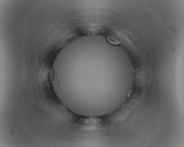 X0000113240225200910011332