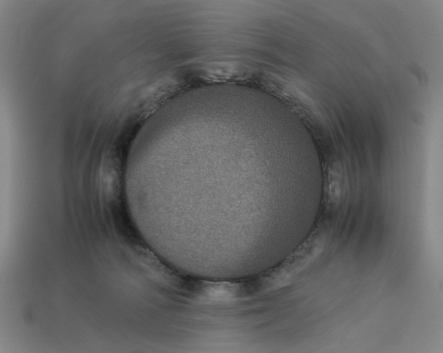 X0000113240226200910011332