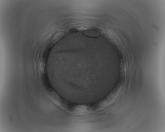 X0000113240227200910011332