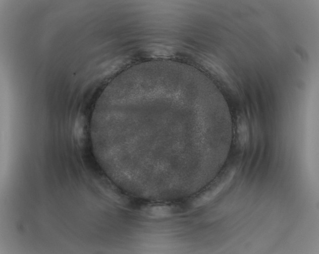 X0000113240228200910011332