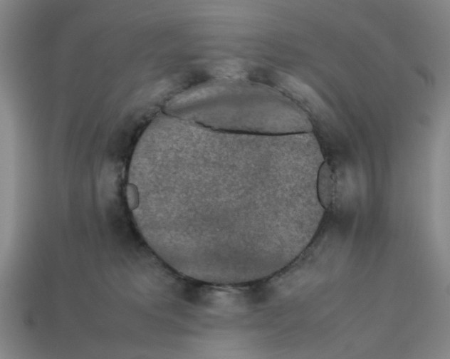 X0000113240229200910011332