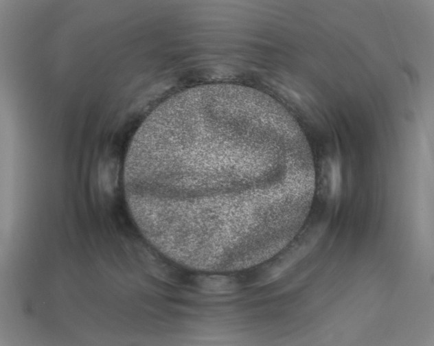 X0000113240230200910011332