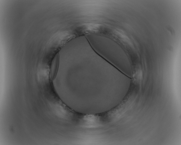 X0000113240231200910011332