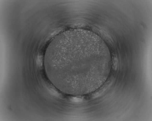 X0000113240232200910011332