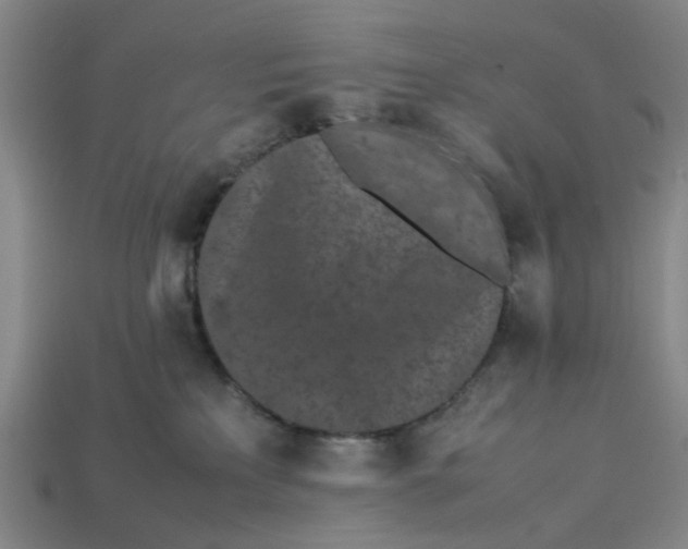 X0000113240233200910011332