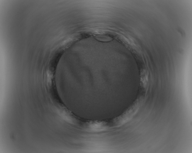 X0000113240235200910011332