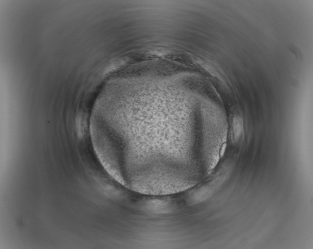 X0000113240236200910011332