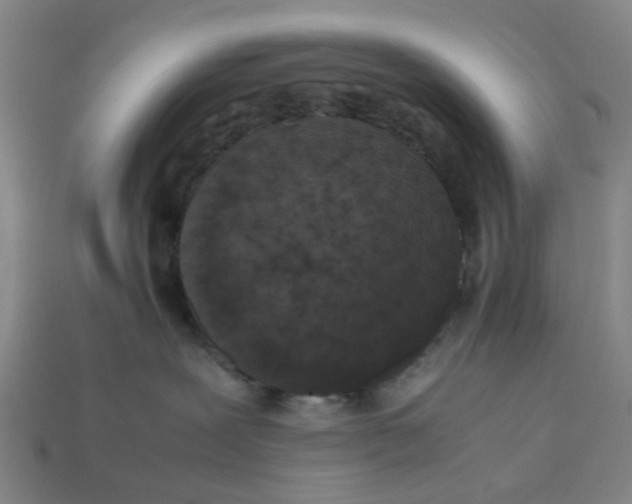 X0000113240239200910011332