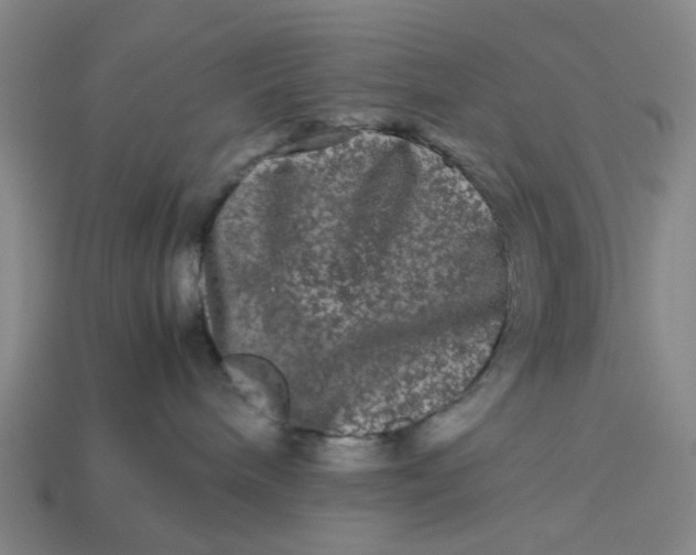 X0000113240240200910011332