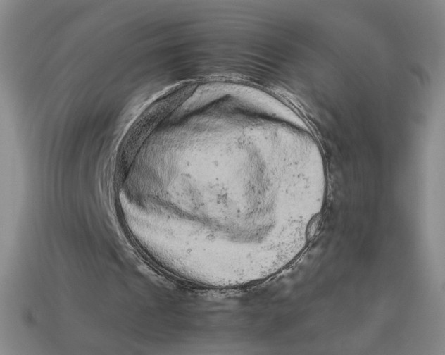 X0000113240241200910011331