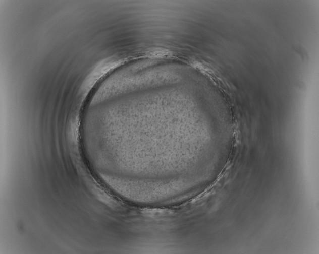 X0000113240242200910011331