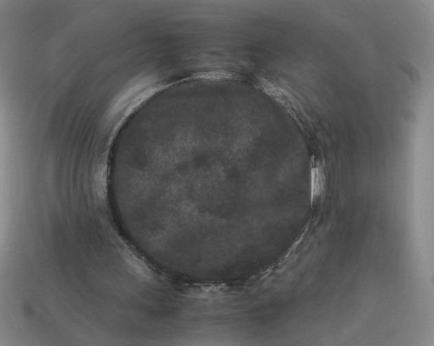 X0000113240243200910011332