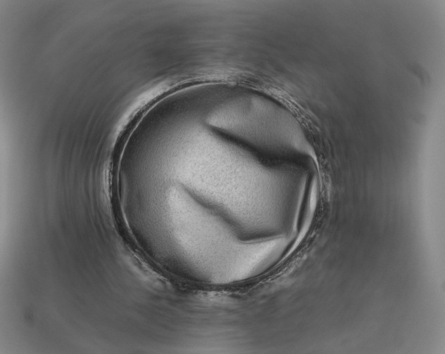 X0000113240244200910011332