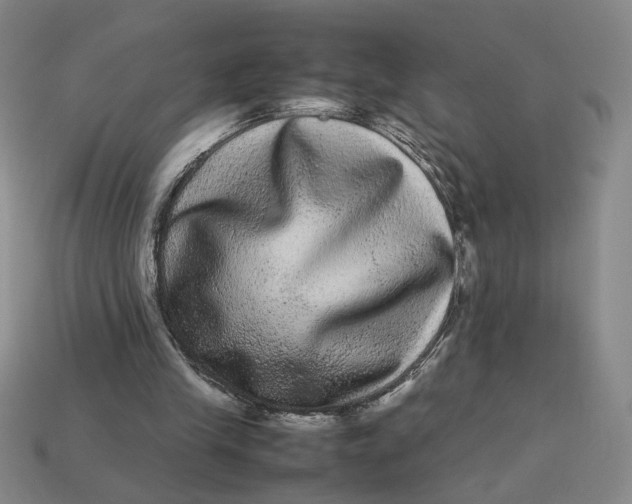 X0000113240245200910011332