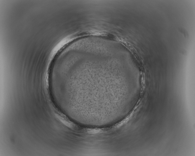 X0000113240246200910011332