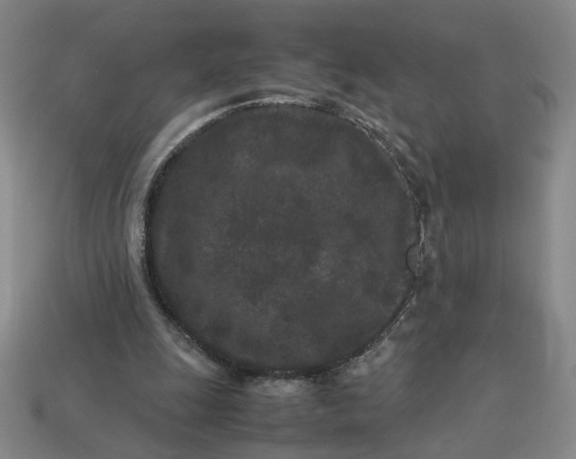 X0000113240247200910011332