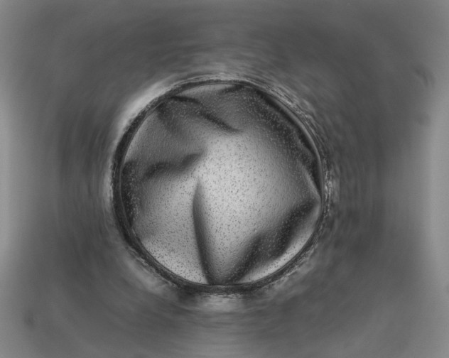 X0000113240248200910011332