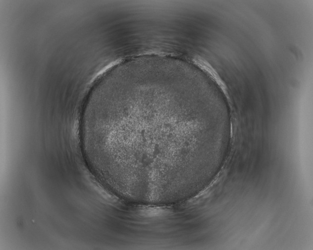 X0000113240249200910011332