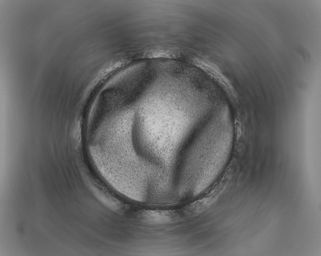 X0000113240250200910011332