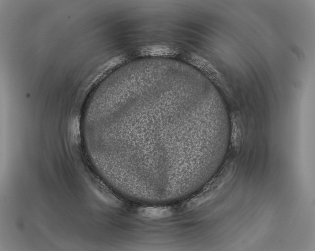 X0000113240251200910011332