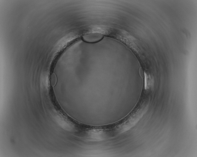 X0000113240252200910011332