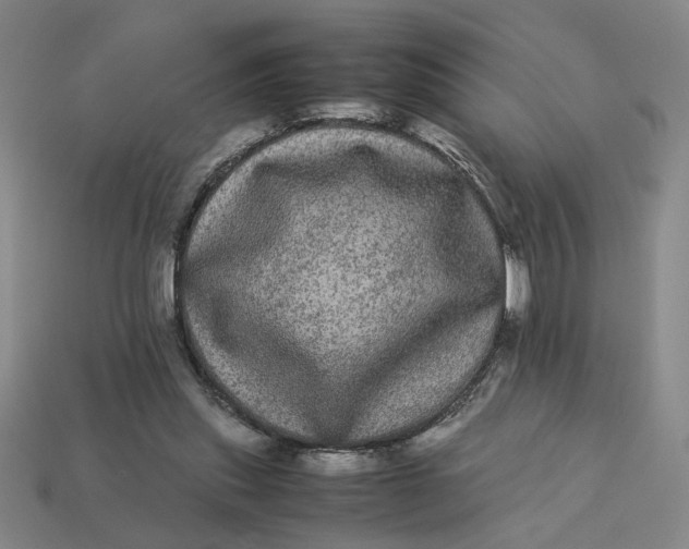 X0000113240253200910011332