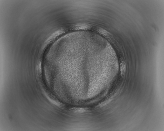 X0000113240254200910011332