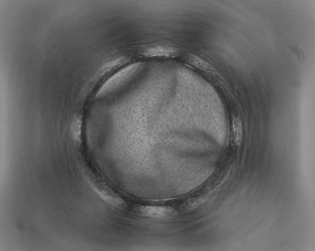 X0000113240255200910011332