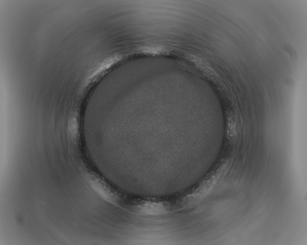 X0000113240256200910011332