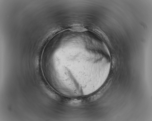 X0000113240257200910011332