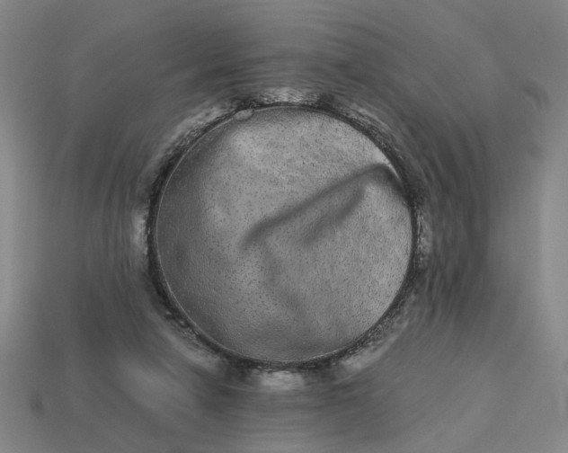 X0000113240258200910011332