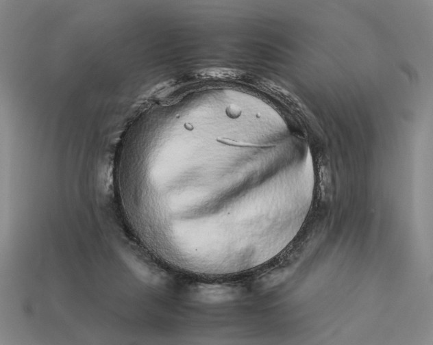 X0000113240259200910011332