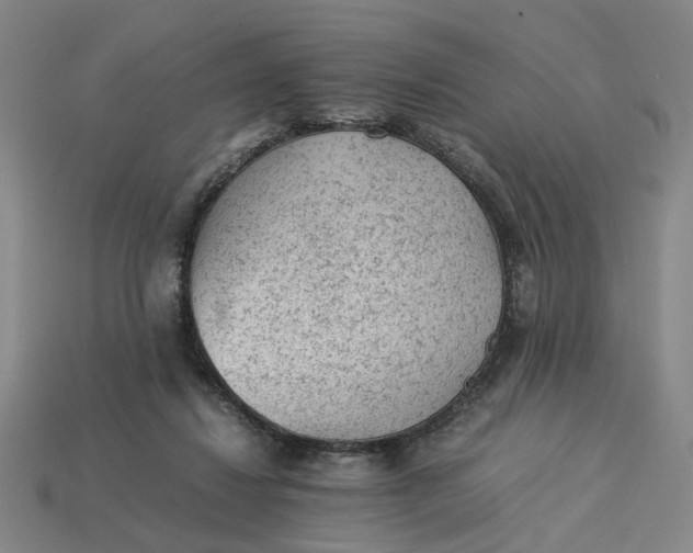 X0000113240260200910011332