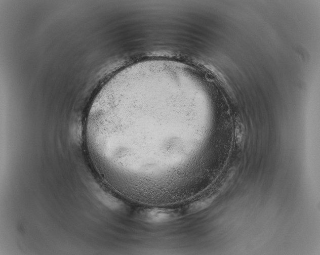 X0000113240261200910011332