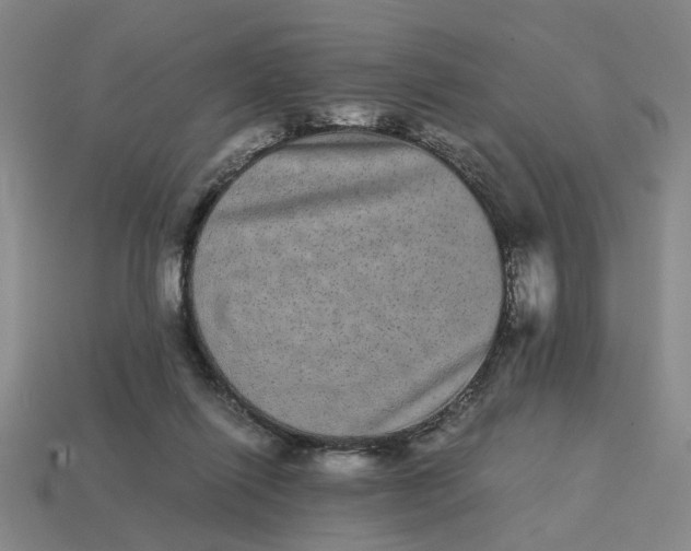 X0000113240262200910011332