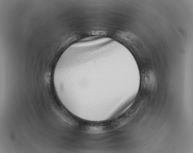 X0000113240263200910011332