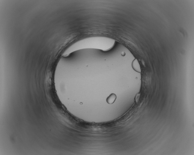 X0000113240264200910011332