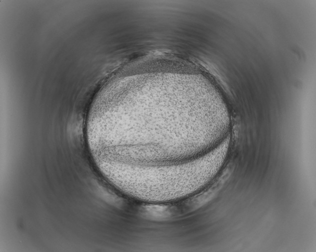 X0000113240265200910011332