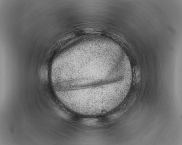 X0000113240266200910011332