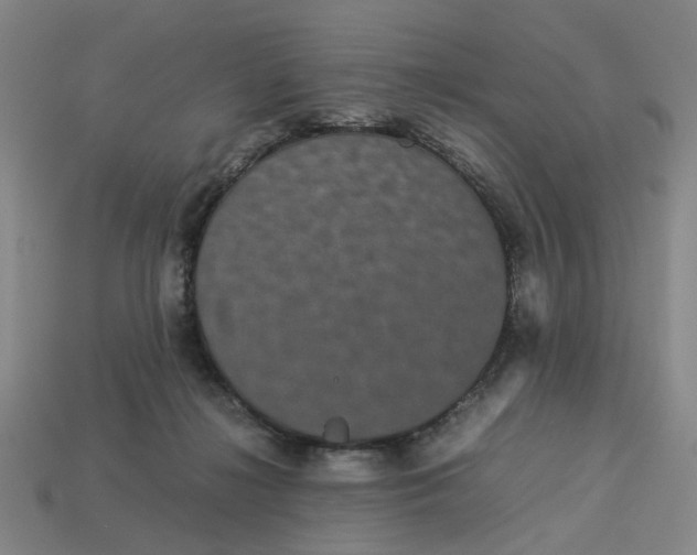 X0000113240268200910011332