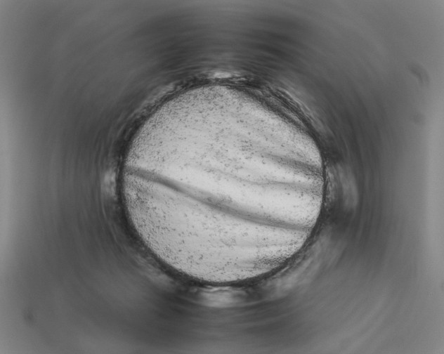 X0000113240269200910011332