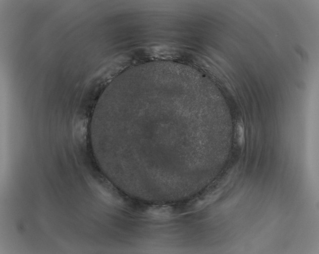 X0000113240271200910011332