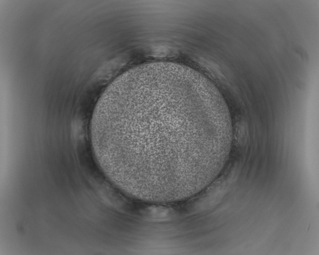 X0000113240272200910011332