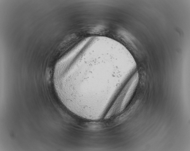 X0000113240273200910011332