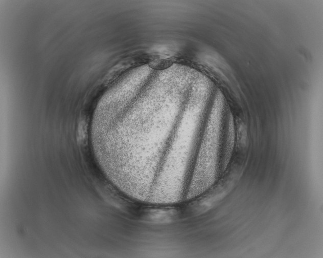 X0000113240274200910011332