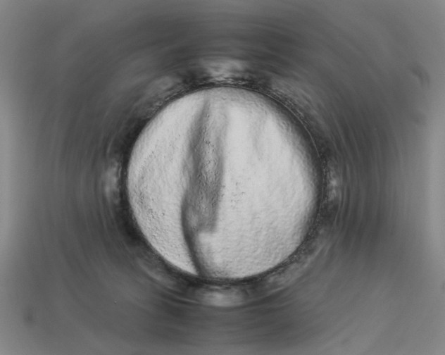 X0000113240275200910011332