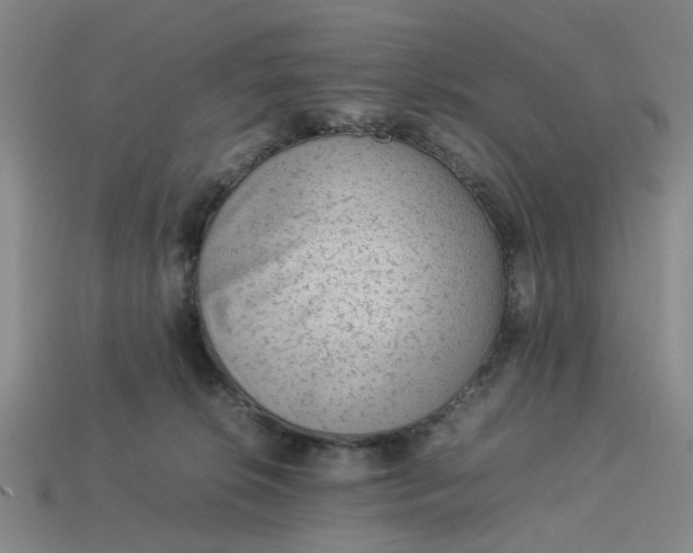 X0000113240276200910011332